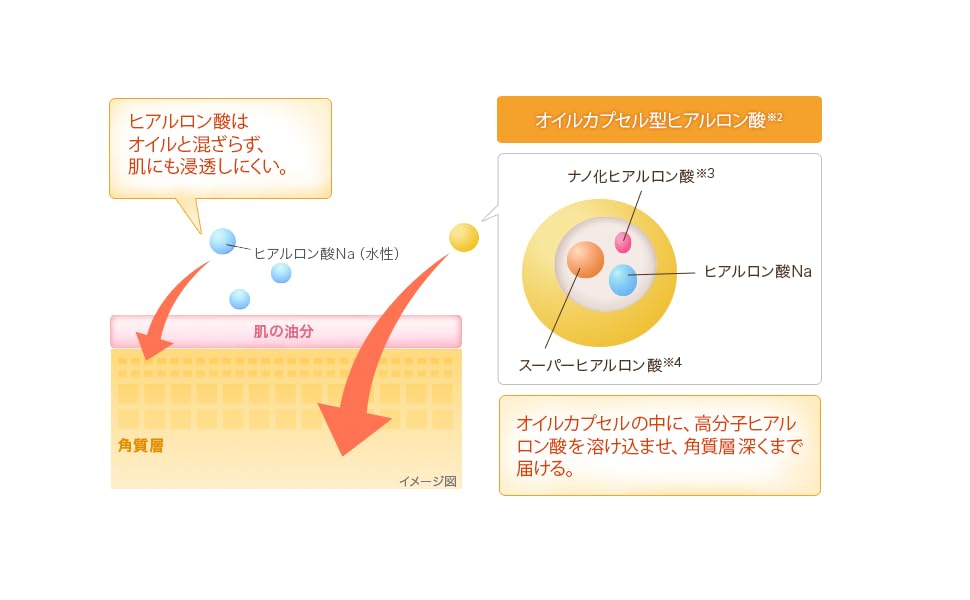 Amazon 肌ラボ 極潤 ヒアルロンジュレ 美容液 無香料 180ml 肌ラボ 美容液 通販