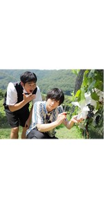 ARAMAKINGDOM あらまき王子のお助け戦記 DVD 第1章 第2章 特典 Amazon.co.jp: ARAMAKINGDOM ~あらまき王子のお助け戦記~ 第1章