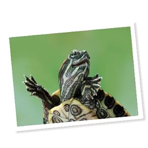 Small manufacture image 7