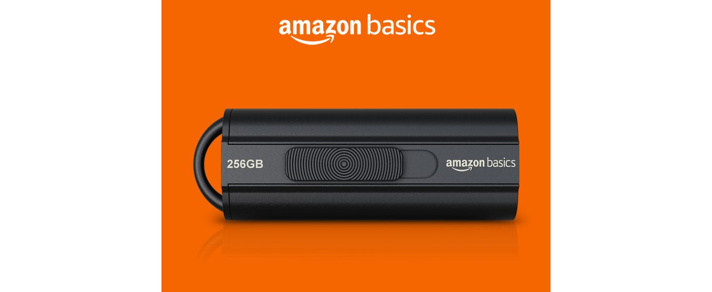 AmazonBasics 256GB Ultra Fast USB 3.1 Flash Drive Amazon.ca Electronics