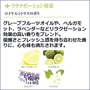 Amazon | POLA エステロワイエ 業務用ボディソープ 10L (1セット