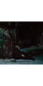 Amazon | 陰/陽 (通常盤) | 斉藤壮馬 | アニメ | ミュージック