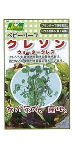 水菜さま　　専用 619YFhibadL._AC_SY200_QL15_.jpg