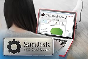 Amazon.in: Buy SanDisk Extreme Pro SDSSDXPS-960G-G25 2.5