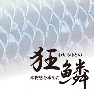 青物プラグ12本セット別注平政ドラド潜王 Amazon | シマノ(SHIMANO) ルアー ソルトプラグ オシア 別注平政