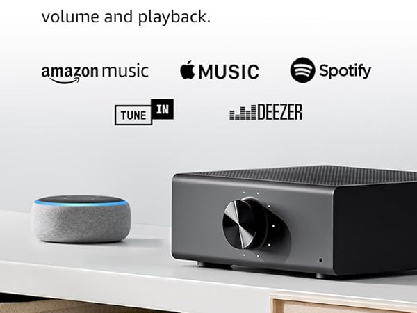 Echo Link Amp | Stream and amplify hi-fi music to your