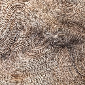 Encre Noire By Lalique For Men - Eau De Toilette, 100ml