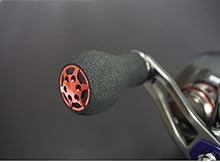 Amazon | ダイワ(DAIWA) 両軸リール 16 スパルタンRT TW 100XH