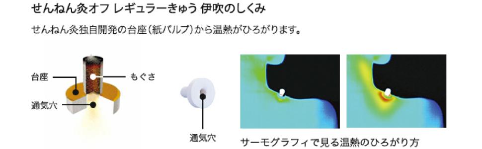 Amazon.co.jp: せんねん灸オフ レギュラーきゅう 伊吹 80点入
