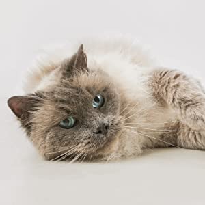 Small manufacture image 6