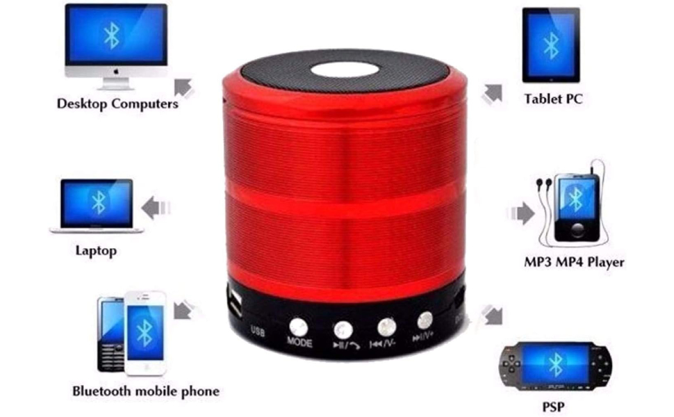 SPOY Mini Bluetooth Speaker WS-887 with FM Radio, Memory Card Slot, USB ...