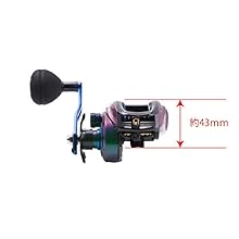 Amazon | AbuGarcia (アブガルシア) SALTY STAGE Jigging 右巻き