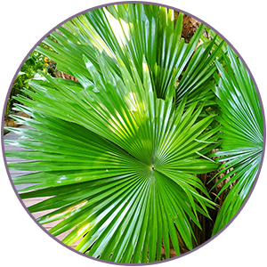 Small manufacture image 5