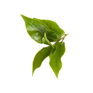 Small manufacture image 2