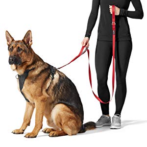 Amazon Amazonベーシック リード 犬用 持ち手2個 パッド入り 1 8m ブラック Amazonベーシック Amazon Basics しつけ用リード 通販