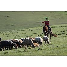 Sony Alpha A6600 Mirrorless Camera | Black | ILCE-6600