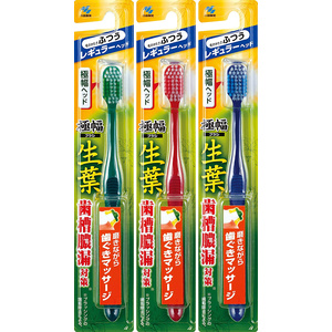 Amazon | 【まとめ買い】生葉(しょうよう) 極幅ブラシ 歯ブラシ