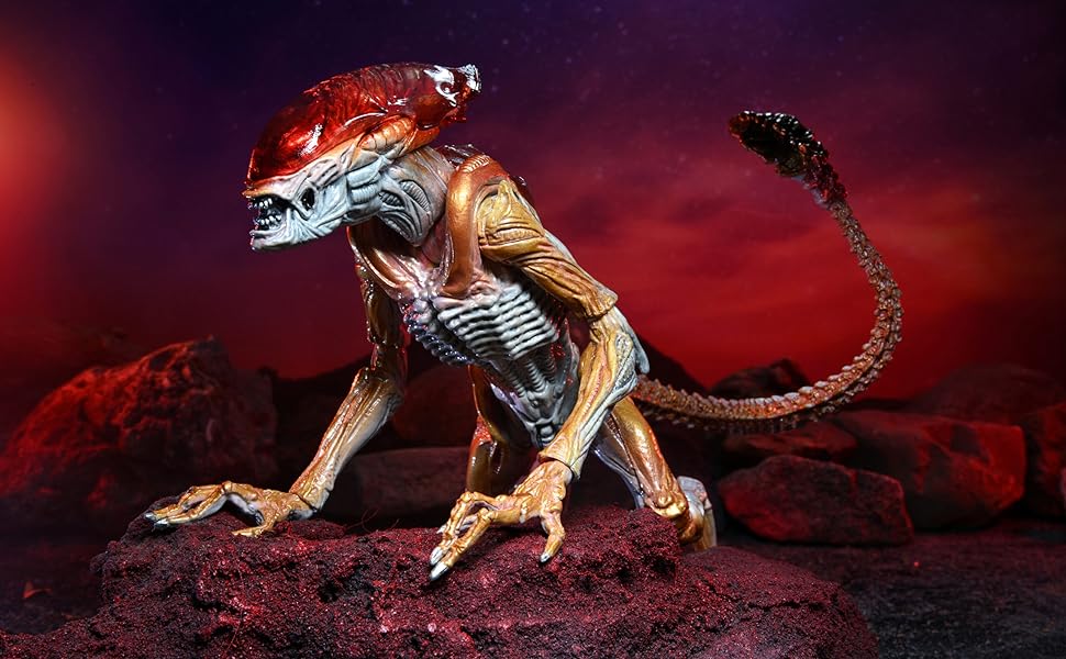 Large manufacture image 1