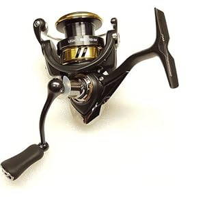 Amazon.com : Daiwa Legalis LT 6.2:1 Left/Right Hand Spinning