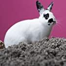 Small manufacture image 13