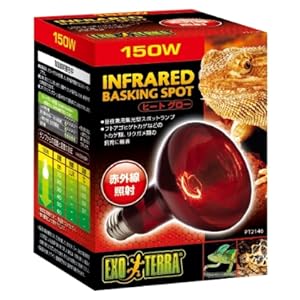 井戸川 Exo TERRA DAYLIGHT BASKIN 150W 6個 Amazon | ヒートグロー赤外線照射スポット ランプ 150W PT2146