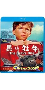 Amazon.co.jp: シェルタリング・スカイ [Blu-ray] : デブラ