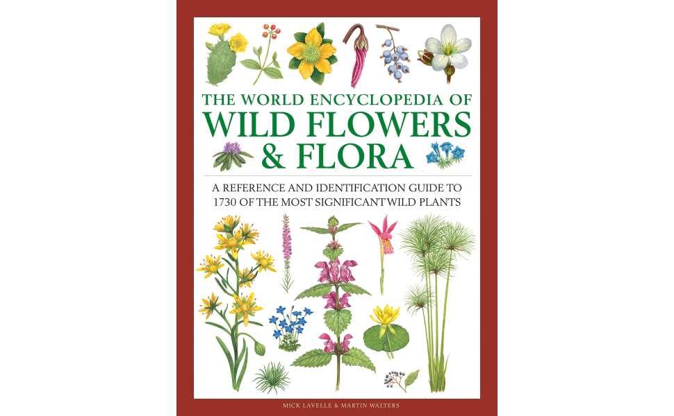 洋書 A handbook of the Yemen Flora A Handbook of the Yemen Flora | The Kew Shop