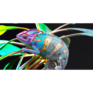 Small manufacture image 2