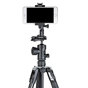 JOBY 三脚アクセサリー ハブアダプター ブラック/レッド 013462 9n2op2j Amazon | JOBY 三脚アクセサリー ハブアダプター ブラック