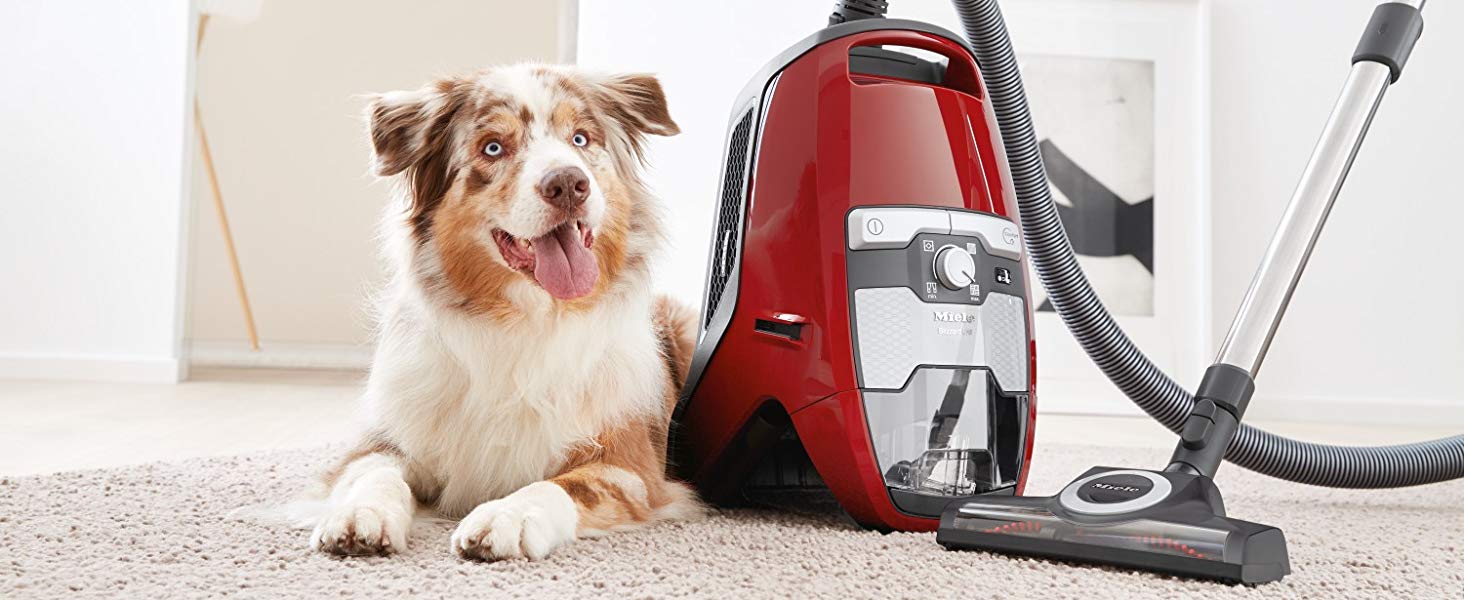 Miele Bagless Vacuum Cleaner Blizzard Cx1 Cat & Dog With TurbobrUSh
