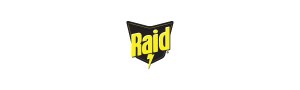 Raid-All Purpose Insect Killer-300ML