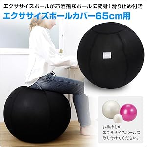 Amazon | アルインコ(ALINCO) エクササイズボールカバー65cm用 WB1251K