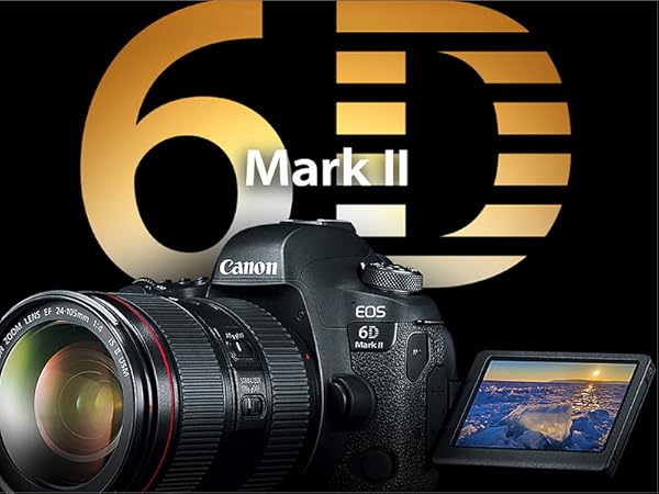 Canon EOS 6D Mark II Body Only Digital Camera, Black: Digital SLRs