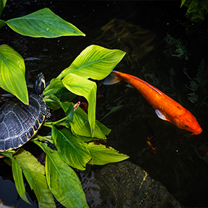 Small manufacture image 5