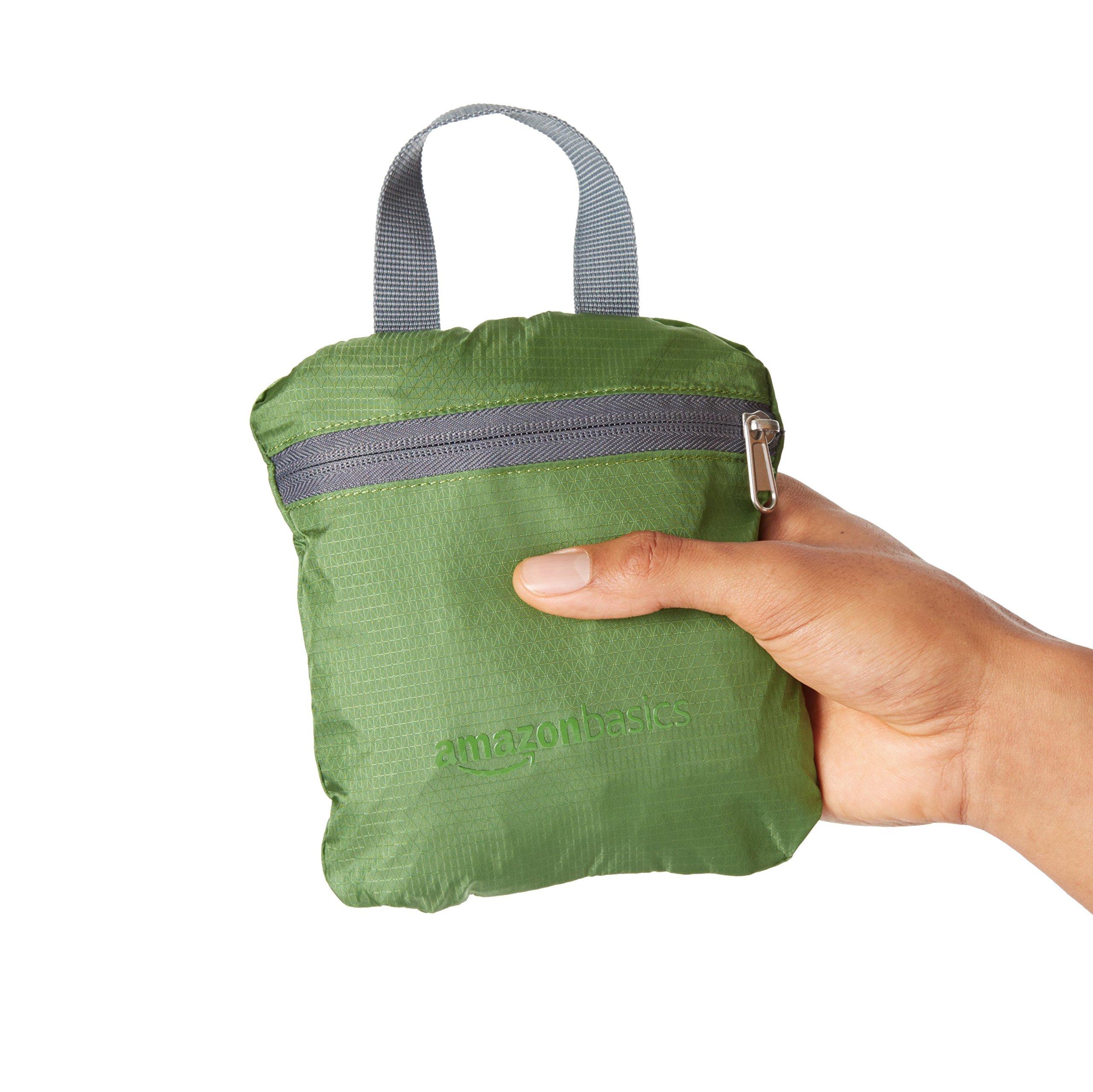 AmazonBasics Ultralight Packable Day Pack Amazon.ca Sports & Outdoors