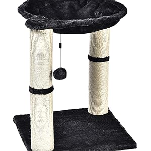 amazon basics arbre chat tour lit hamac griffoir black friday