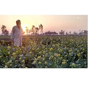 Small manufacture image 1