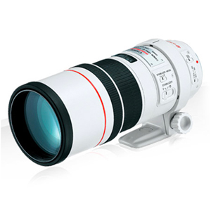 Canon EF 300mm F/4.0L IS USM Image Stabilising Lens, Black: Buy