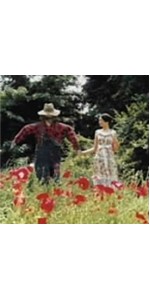 RADWIMPS CDセット illion初期 名盤コレクター向け 有心論 Amazon.co.jp: 有心論: ミュージック