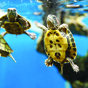 Small manufacture image 6