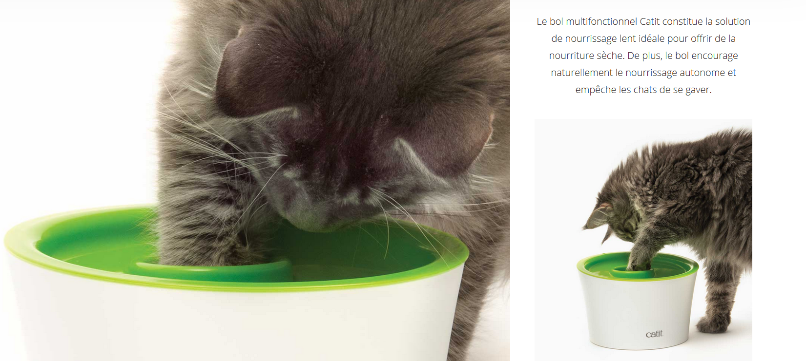 Catit Fontaine à Chat Compacte 2 L