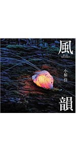 Amazon.co.jp: 小椋佳~自分史ベスト35 35th Anniversary