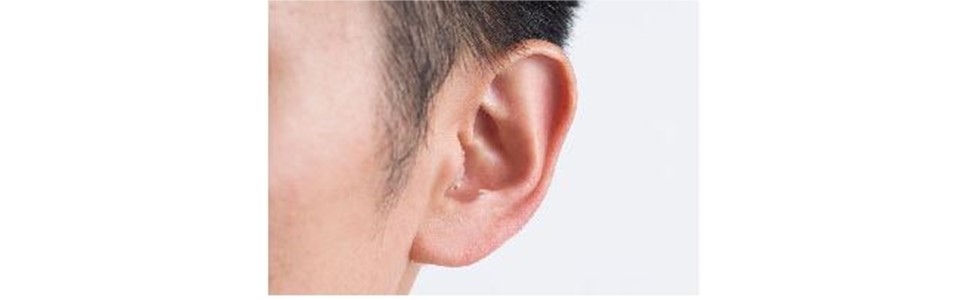 PIONEER - パイオニア　ボイスモニタリングレシーバー　VMR-E50 Amazon.co.jp: パイオニア ボイスモニタリングレシーバー