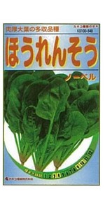 Amazon | カネコ種苗 園芸・種 KS100シリーズ サラダみずな 早生