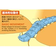 Amazon | タミヤ(TAMIYA) 楽しい工作シリーズ No.230 ムカデ