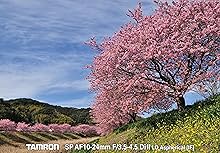 Amazon | TAMRON 超広角ズームレンズ SP AF10-24mm F3.5-4.5 DiII