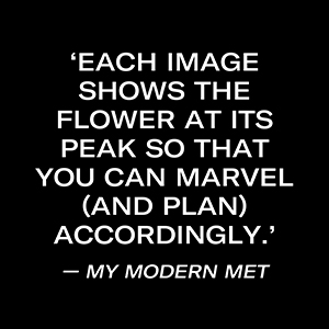 Small manufacture image 6