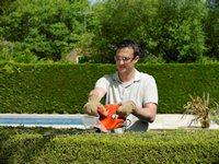 Small manufacture image 5