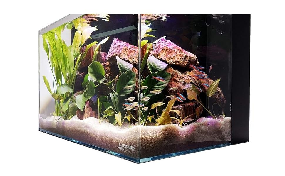 oceanic aquarium stand