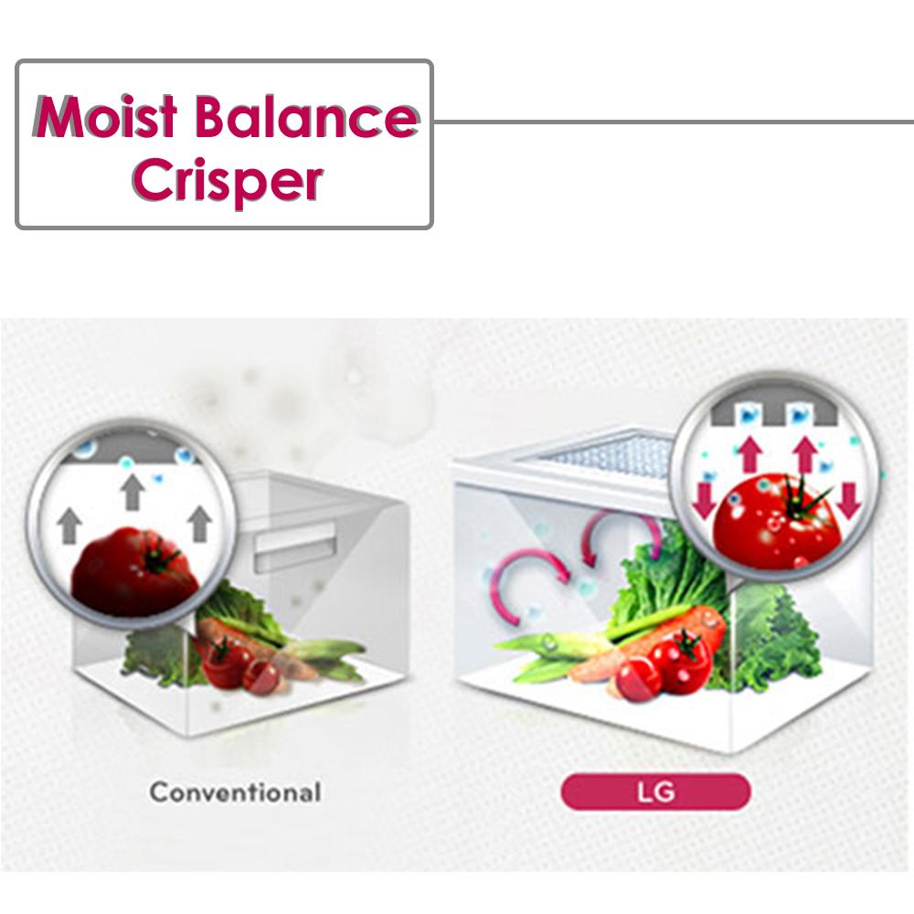 LG 335 L 4 Star FrostFree Double Door Refrigerator (GLU372JHSL, Hazel